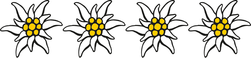 Mit 4 Edelweiss ausgezeichneter Betrieb in Radstadt